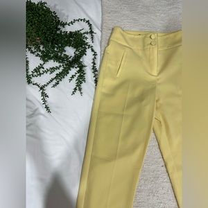 Lemon formal pants